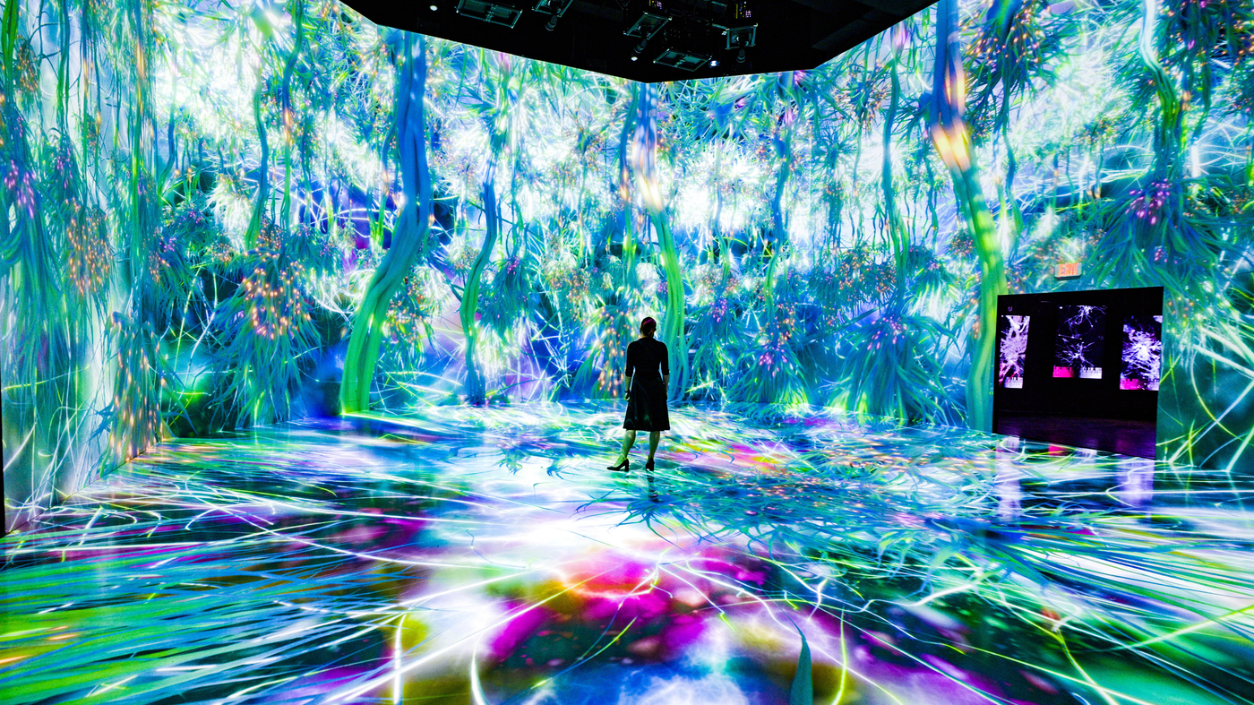 Arts Week: The Life Cycle Of A Neuron : Short Wave - Vimarsana News