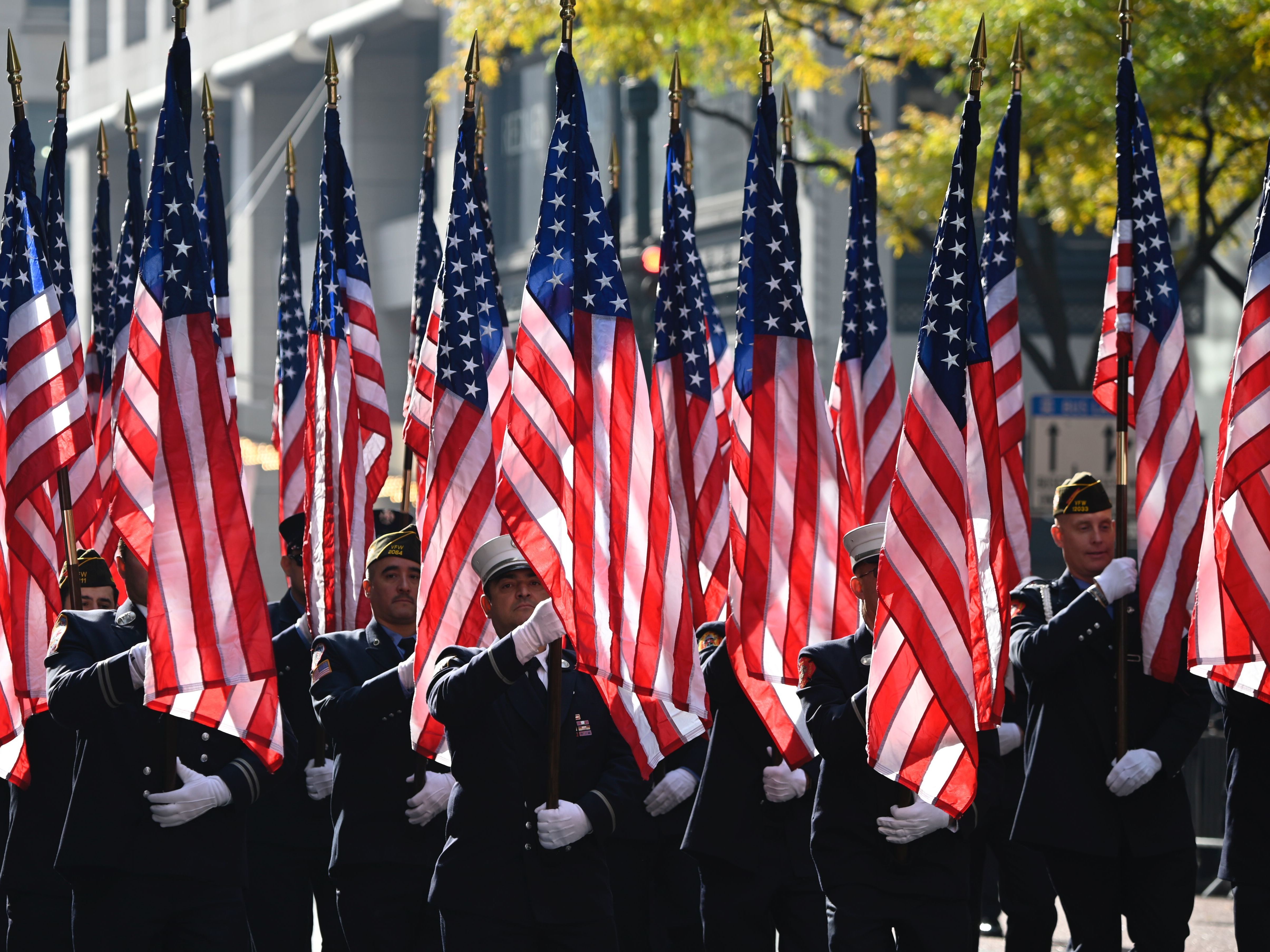 On Veterans Day, here are stories that honor heroes and homecoming - Vimarsana News