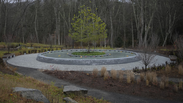 A sycamore tree stands at the center of memorial to the victims of the Sandy Hook Elementary School shooting, in Newtown, Conn., on Sunday.