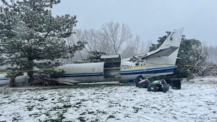 53 dogs that survived a plane crash are now up for adoption