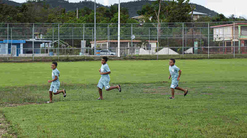 A small town ballfield took years to repair after Hurricane Maria. Then Fiona came.
