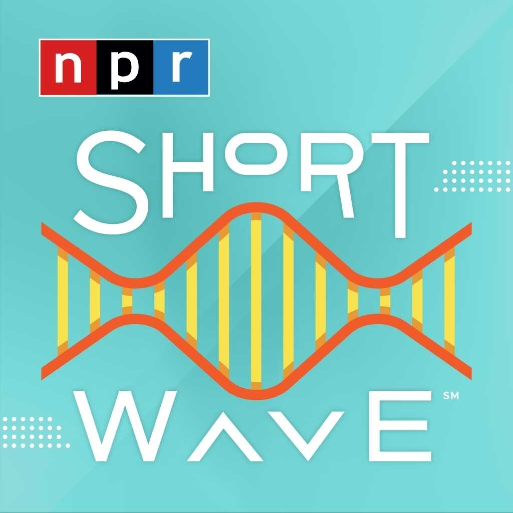 When Wearing Shorts Was Taboo : NPR History Dept. : NPR