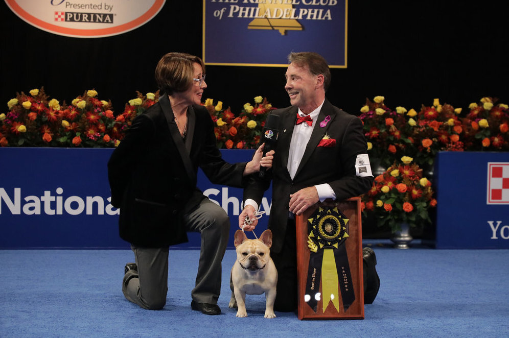 The 2022 National Dog Show winner is Winston the French bulldog NPR