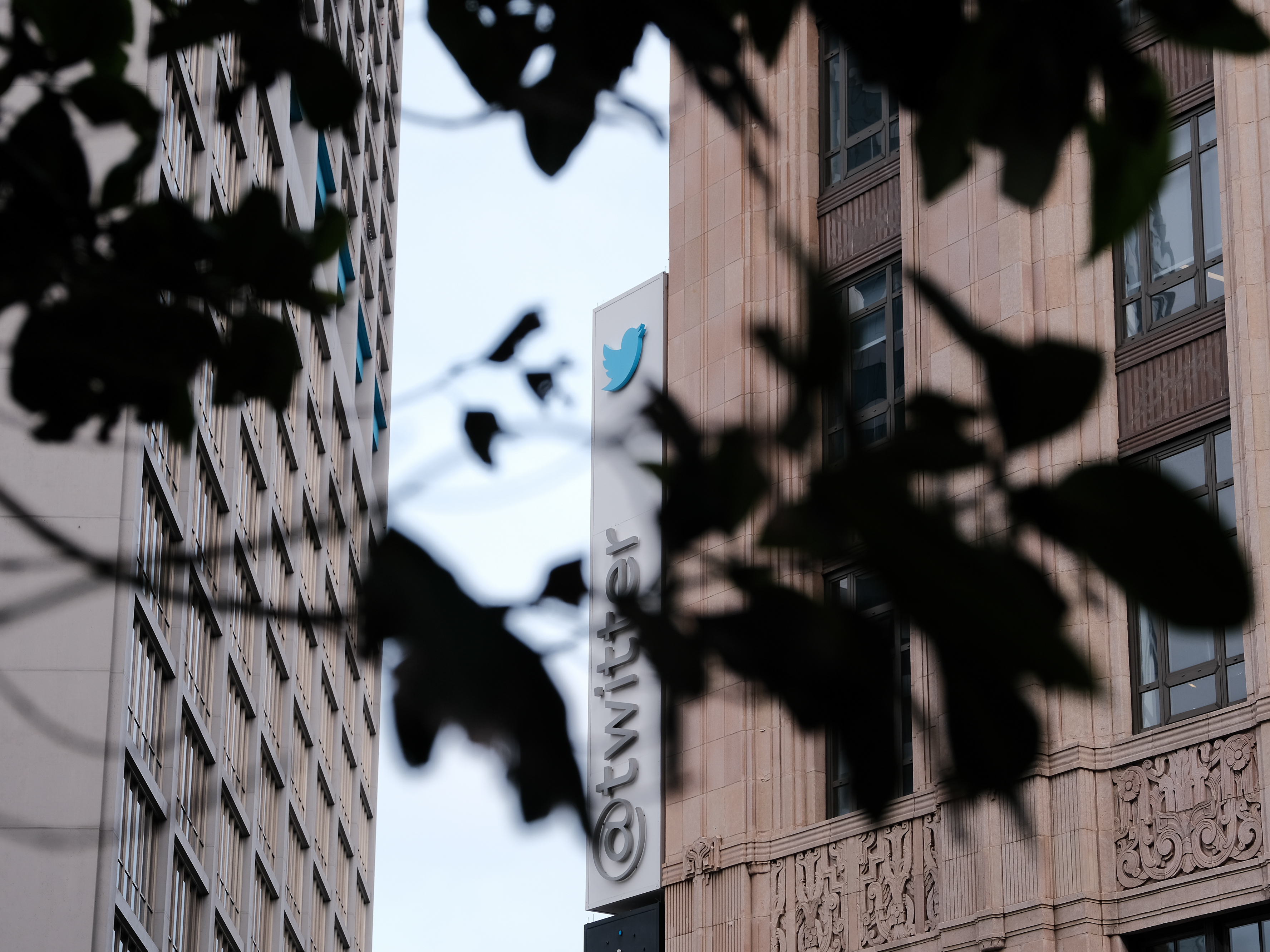 Twitter's former safety chief warns Musk is moving fast and "breaking things" - Vimarsana News