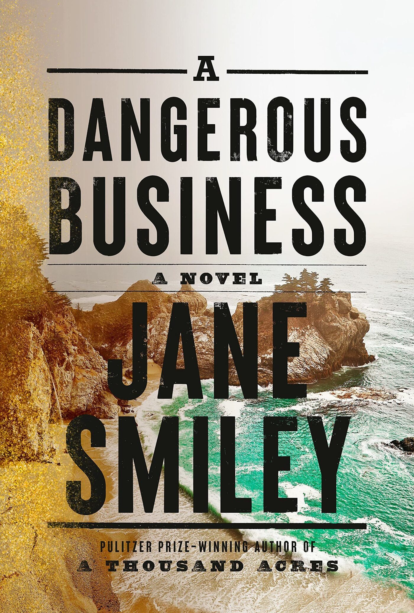 A Dangerous Business cover