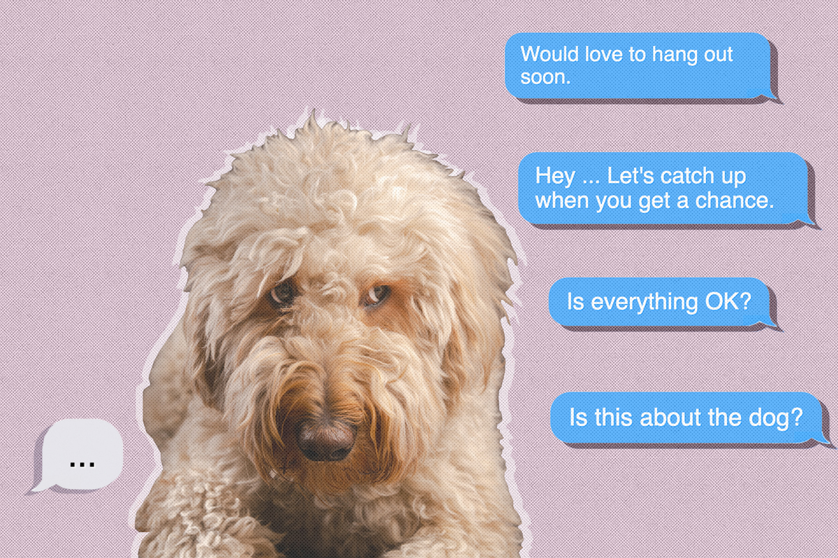 A photograph of a golden doodle with a guilty expression on its face. To the right of the doodle are text messages bubbles showing that someone has been reaching out again and again with no response. On the left is a gray text message bubble that shows typing.