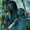 Take the plunge: Avatar's underwater scenes are immersive and extraordinary