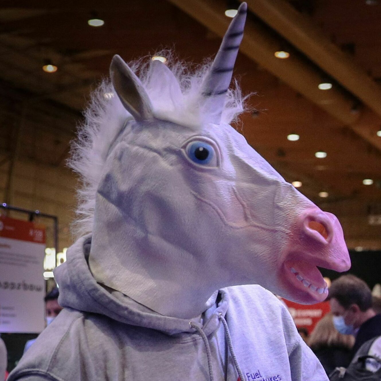 When startups become workhorses, not unicorns