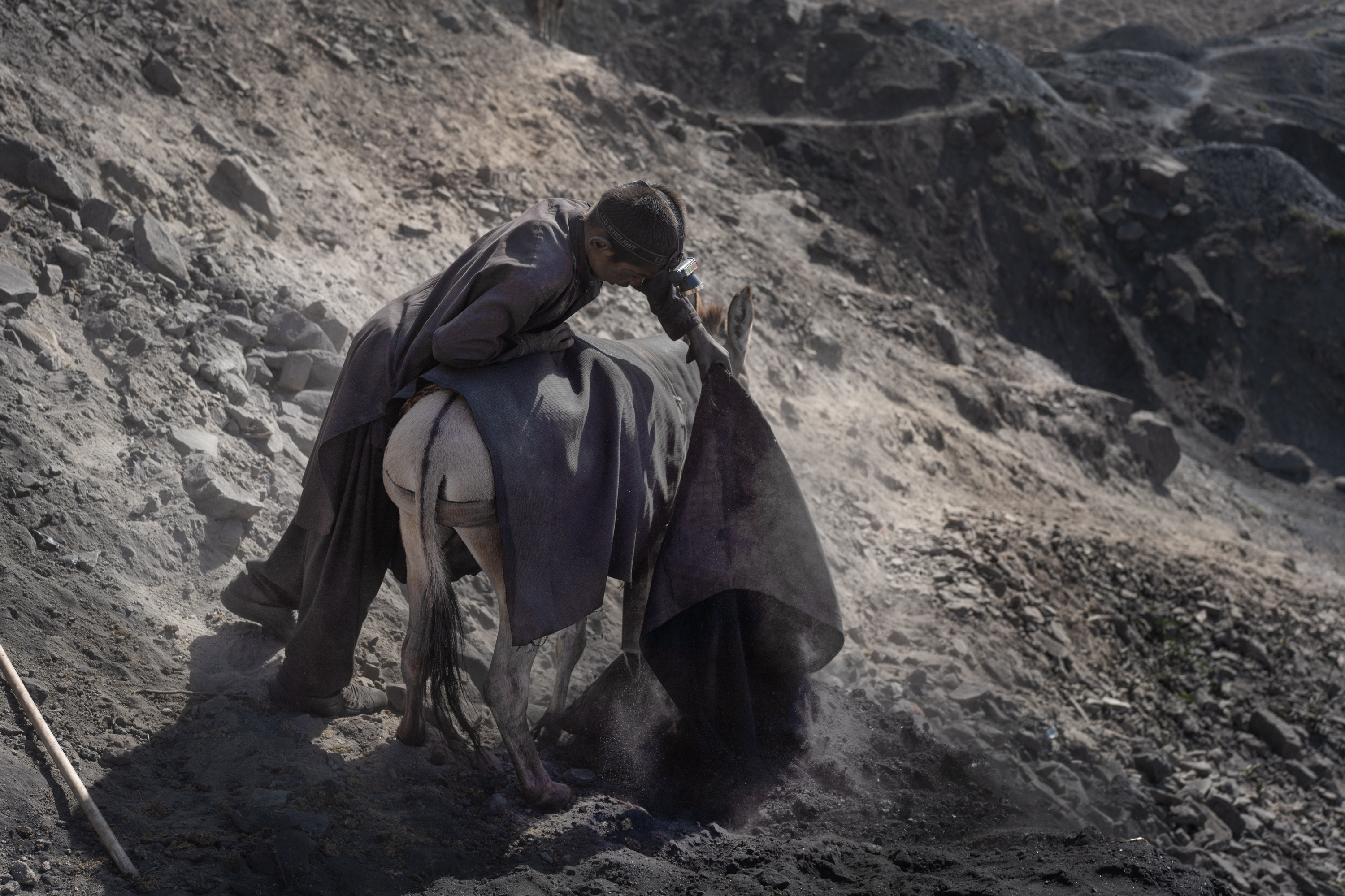 In Afghanistan, coal mining relies on the labor of children 5 A boy unloads a bag from the back of a donkey after coming out of a mine.