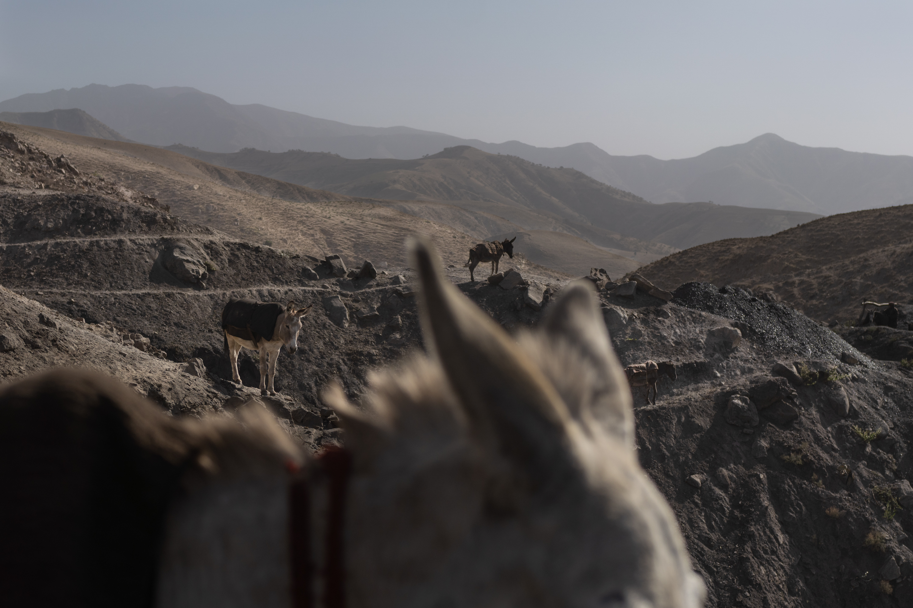 In Afghanistan, coal mining relies on the labor of children 10 Donkeys dot the mountains near the entrances to the coal mine.