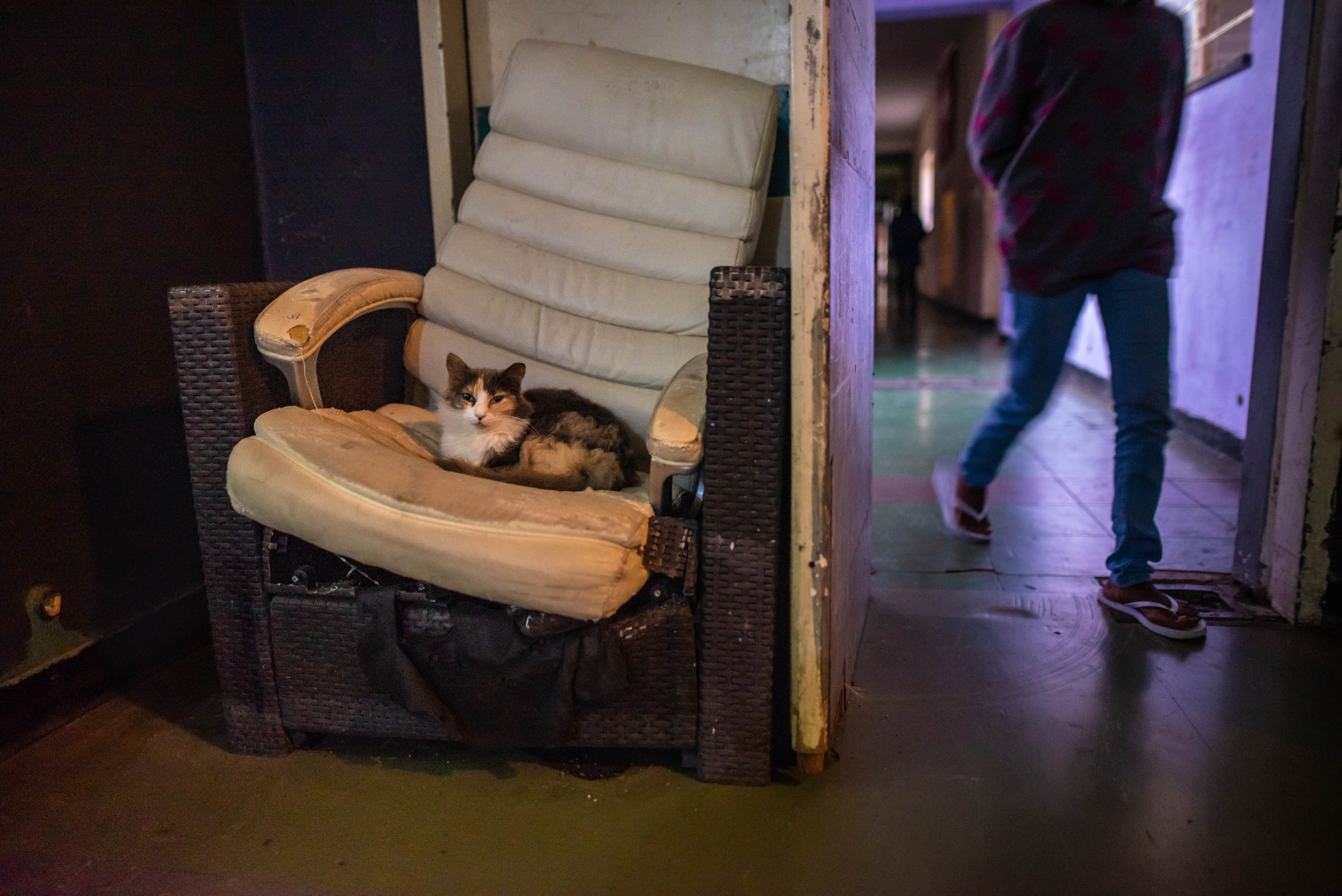 Inside South Africa's 'hijacked' buildings: 'All we want is a place to call home' 4 A cat sits on a broken chair in a makeshift movie theatre at Cissie Gool House in Cape Town.