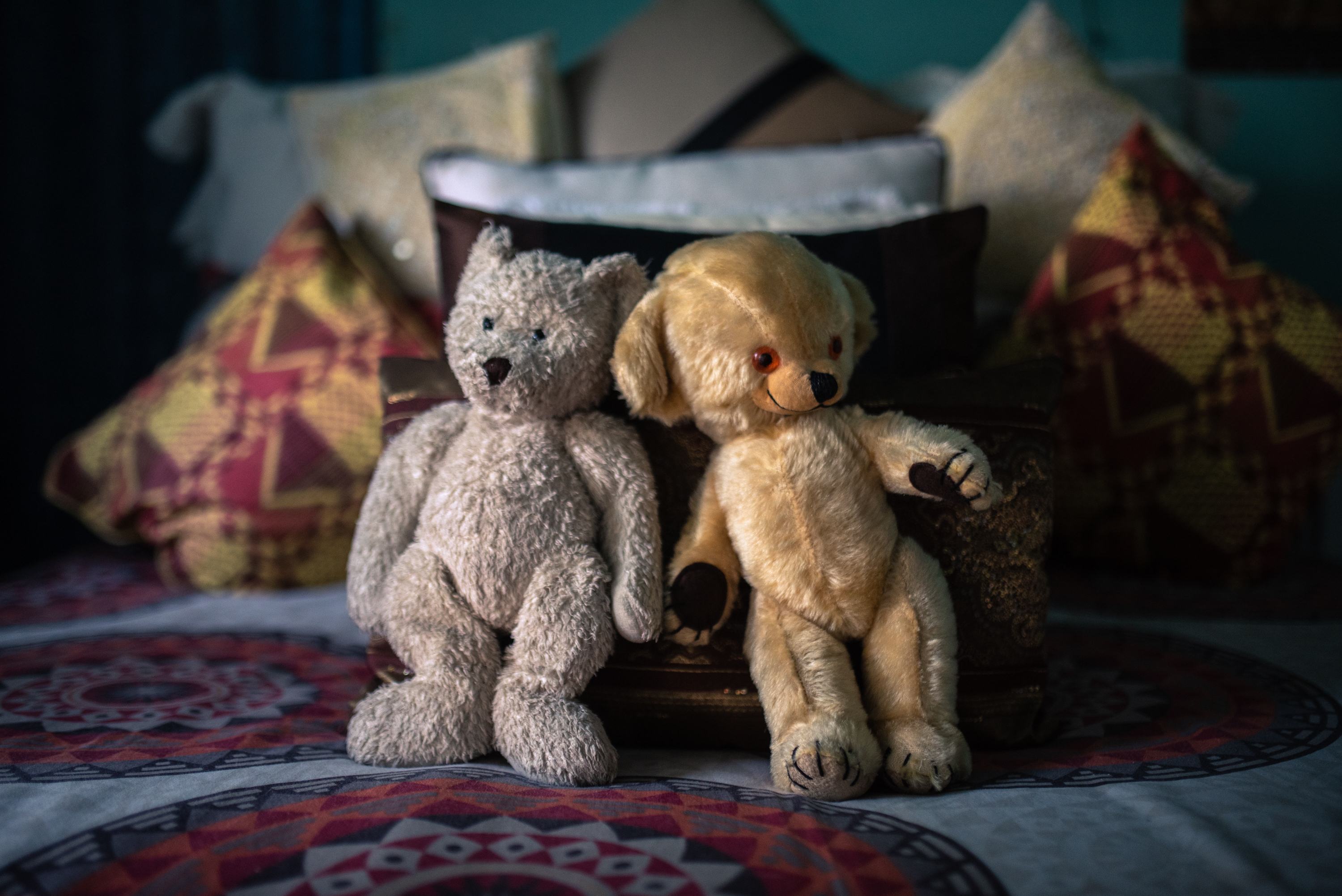 Inside South Africa's 'hijacked' buildings: 'All we want is a place to call home' 10 Teddy bears lie on the bed of community leader Shiela Madikane in Ahmed Kathrada House.