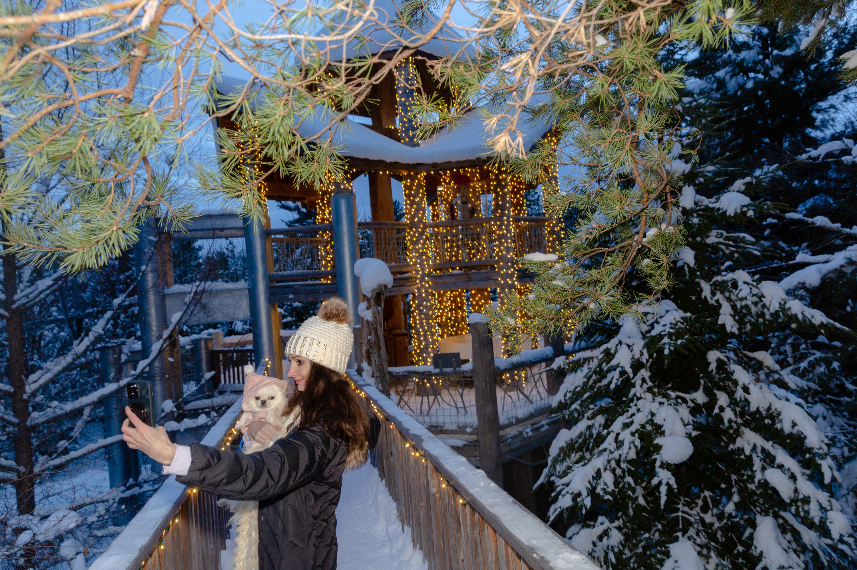 Yellowgrove　Winter In a wintry Adirondack forest, an oasis of holiday light : NPR
