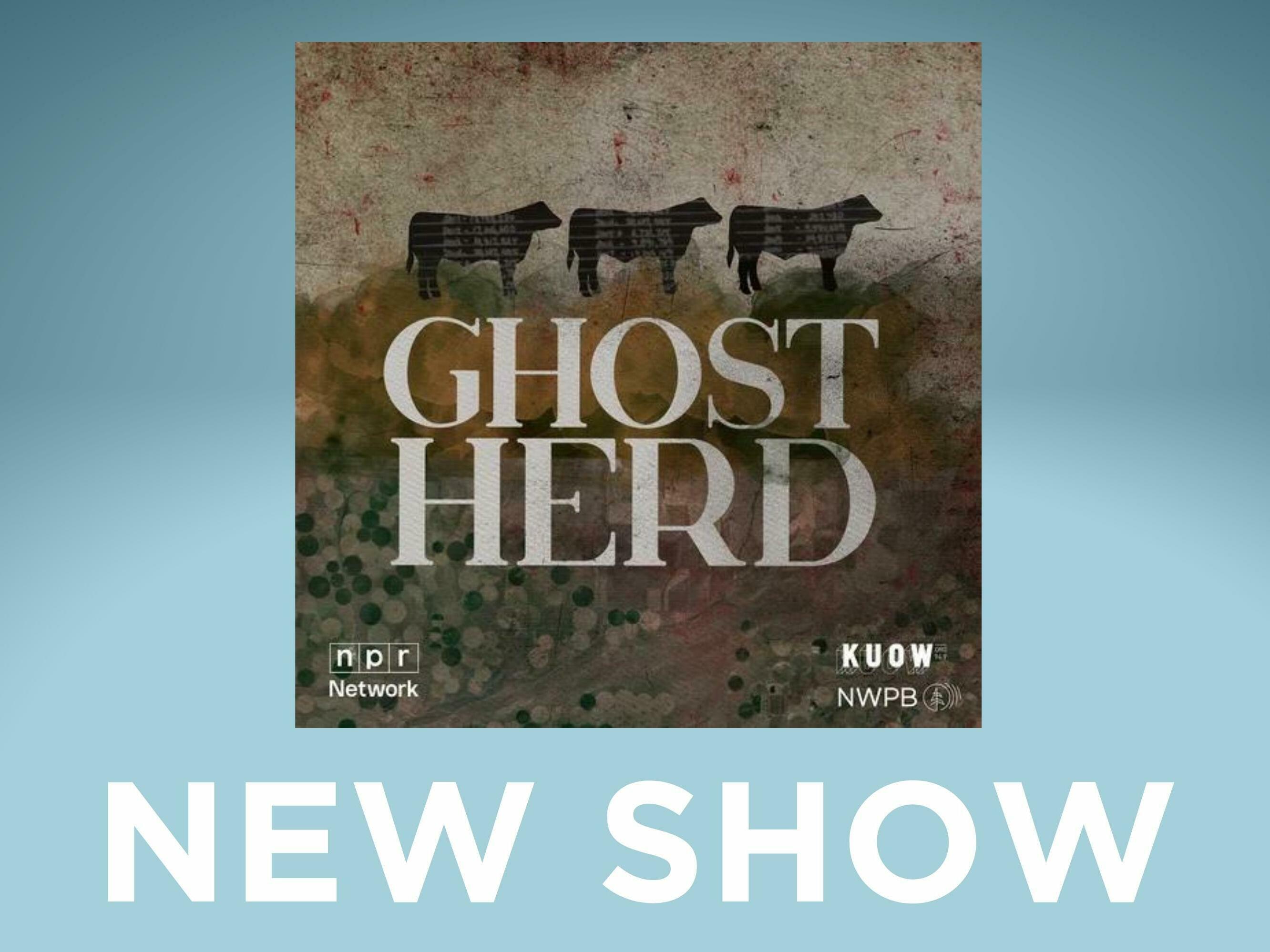 New and noteworthy public media podcasts to check out this January - Vimarsana News