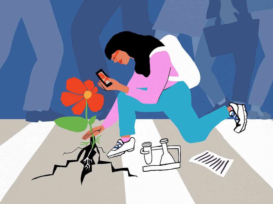 Illustration shows a person holding a red flower still rooted in the ground. They are holding their phone over the flower in an attempt to identify it. Around them on the ground are beakers and scientific documents.