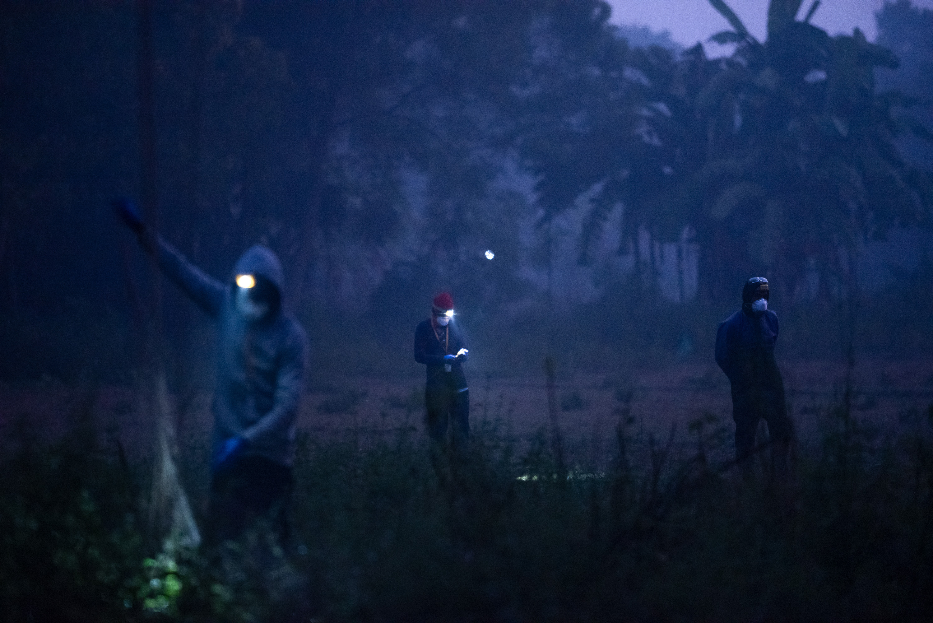 The Nipah virus has a kill rate of 70. Bats carry it. But how does it