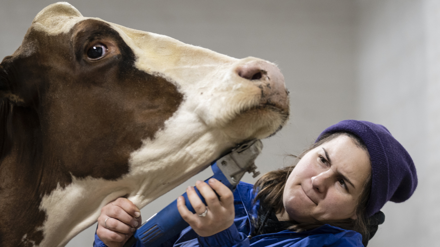 Congress gears up for another farm bill. Here's what's on the menu