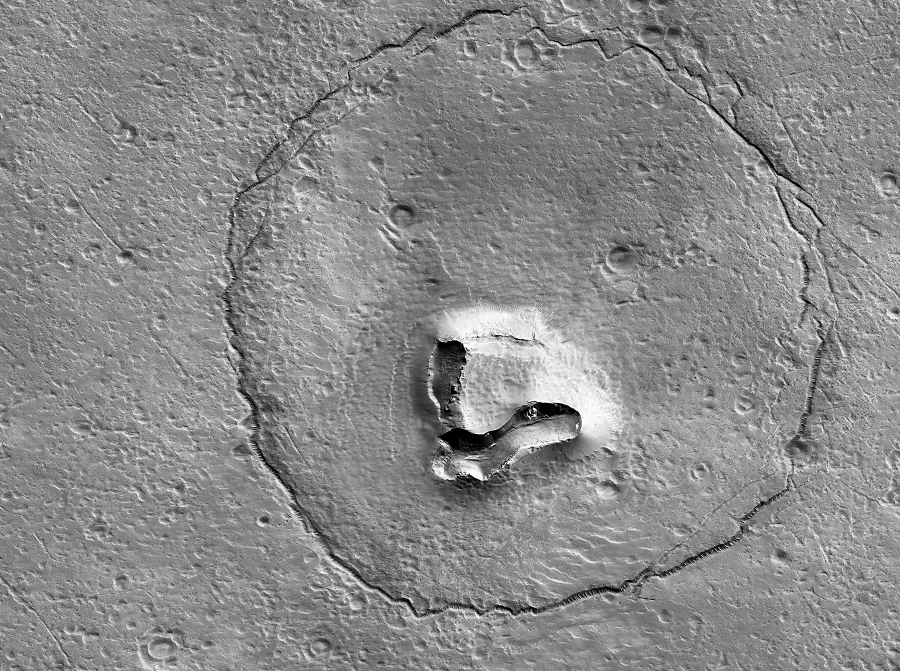 NASA discovers bear formation on Mars
