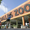 La saga del zoológico de Dallas sirve como un recordatorio para permanecer vigilante, dice el acreditor nacional