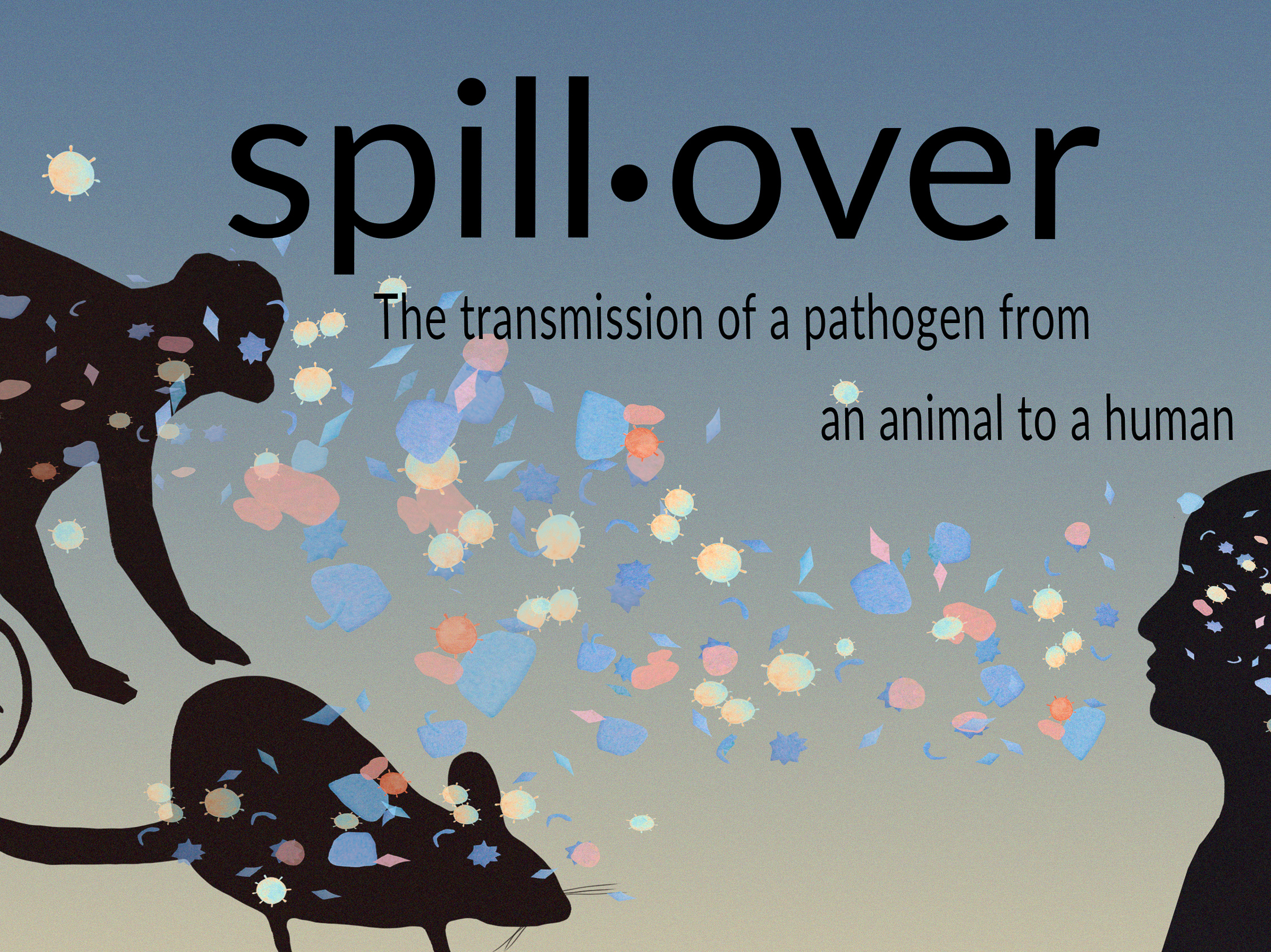 What's a spillover? A spillback? Here are definitions for the vocab of