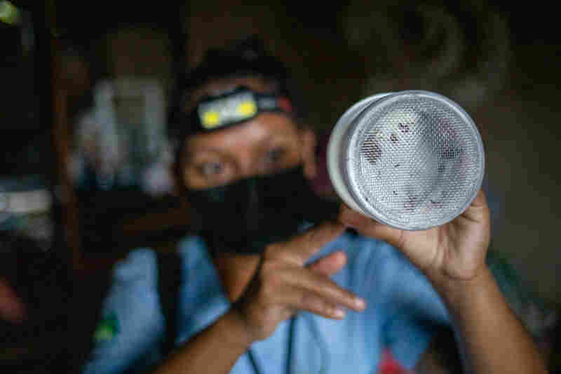 Damaris Sanchez holds up her quarry — mosquitoes vacuumed from a home in the village of Los Encuentros, Guatemala.