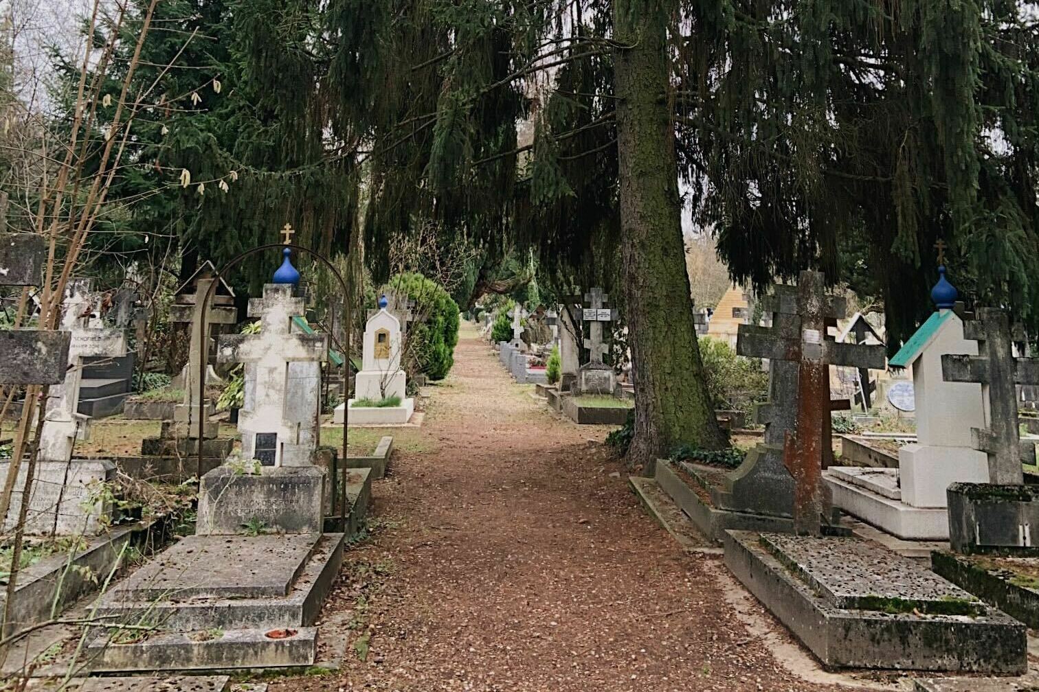 Even a cemetery in France is affected by Putin's war - Vimarsana News