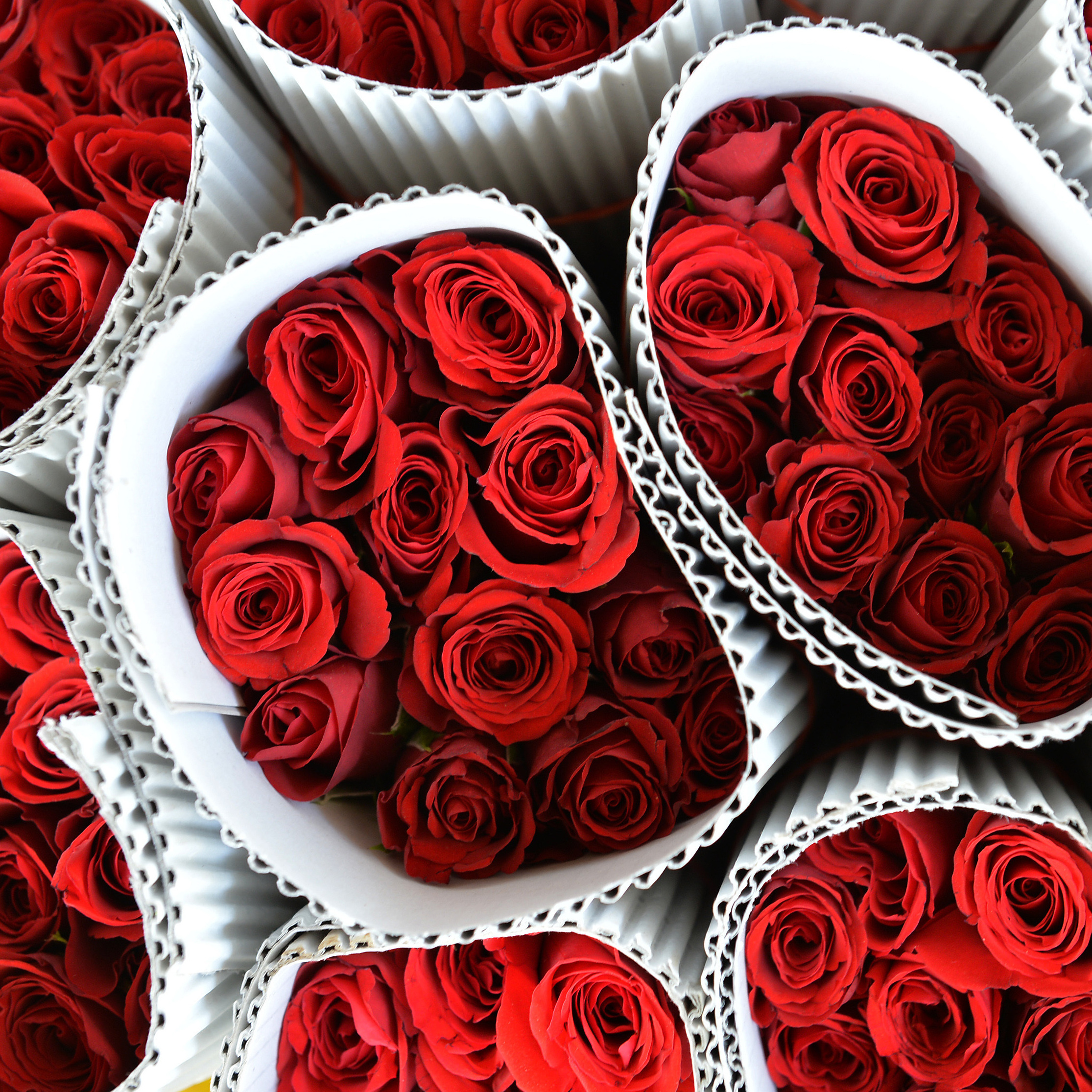 20,000 roses, inflation and night terrors the life of a florist on