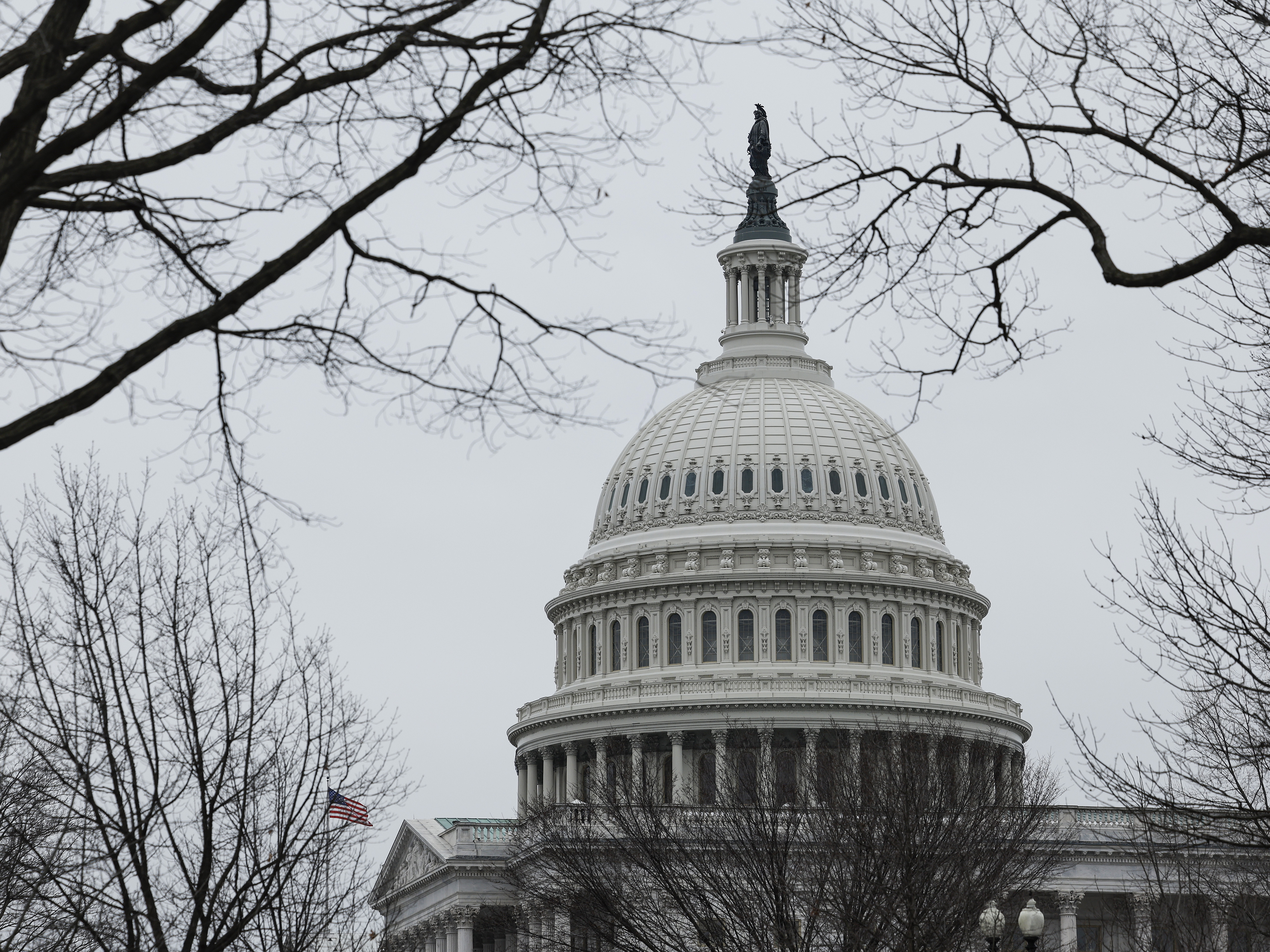 The U.S. Capitol Building is seen on Jan. 19, 2023. (Getty Images)