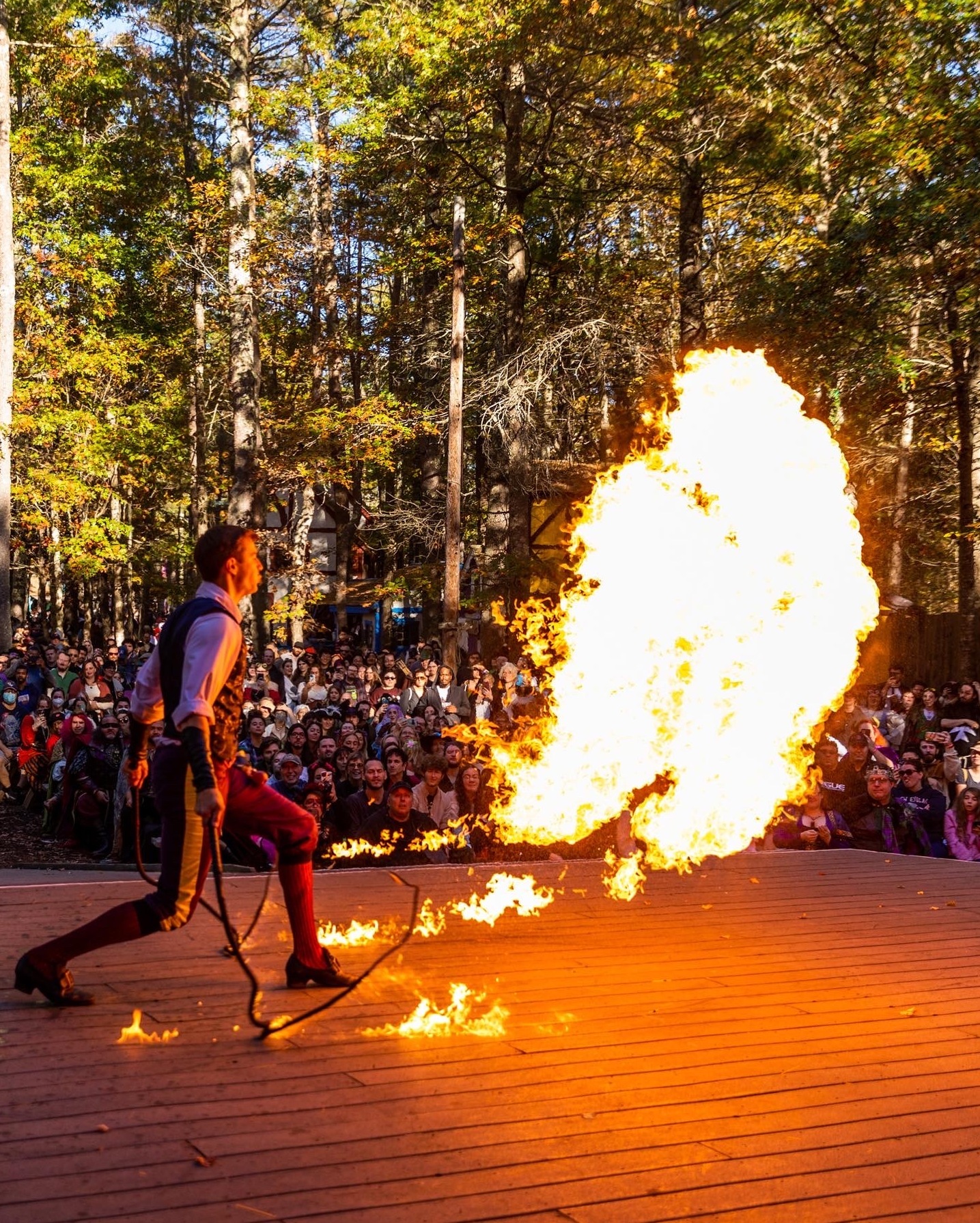 Why I'm quitting my job and joining the circus (really) : NPR
