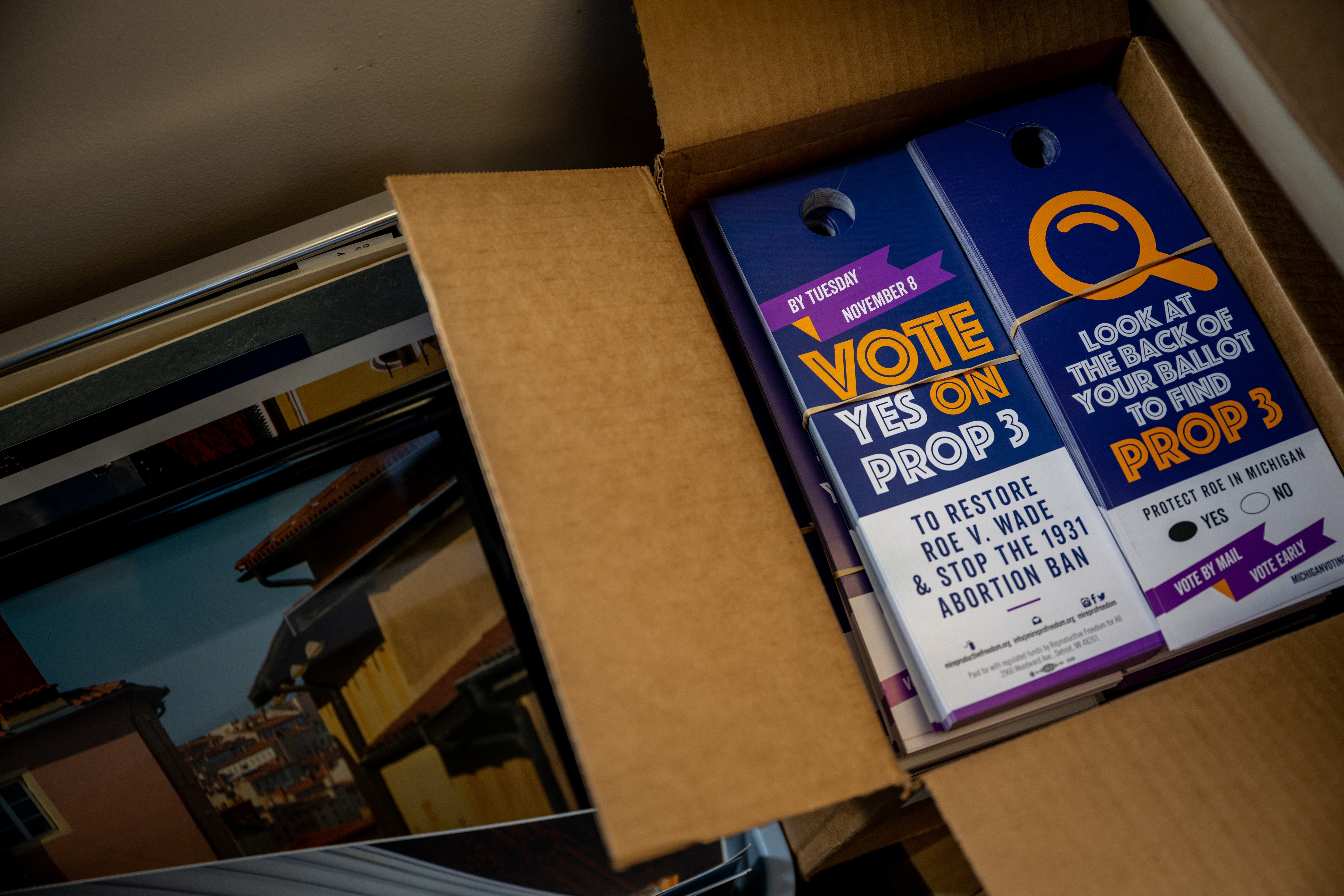 This group gets left-leaning policies passed in red states. How? Ballot measures - Vimarsana News