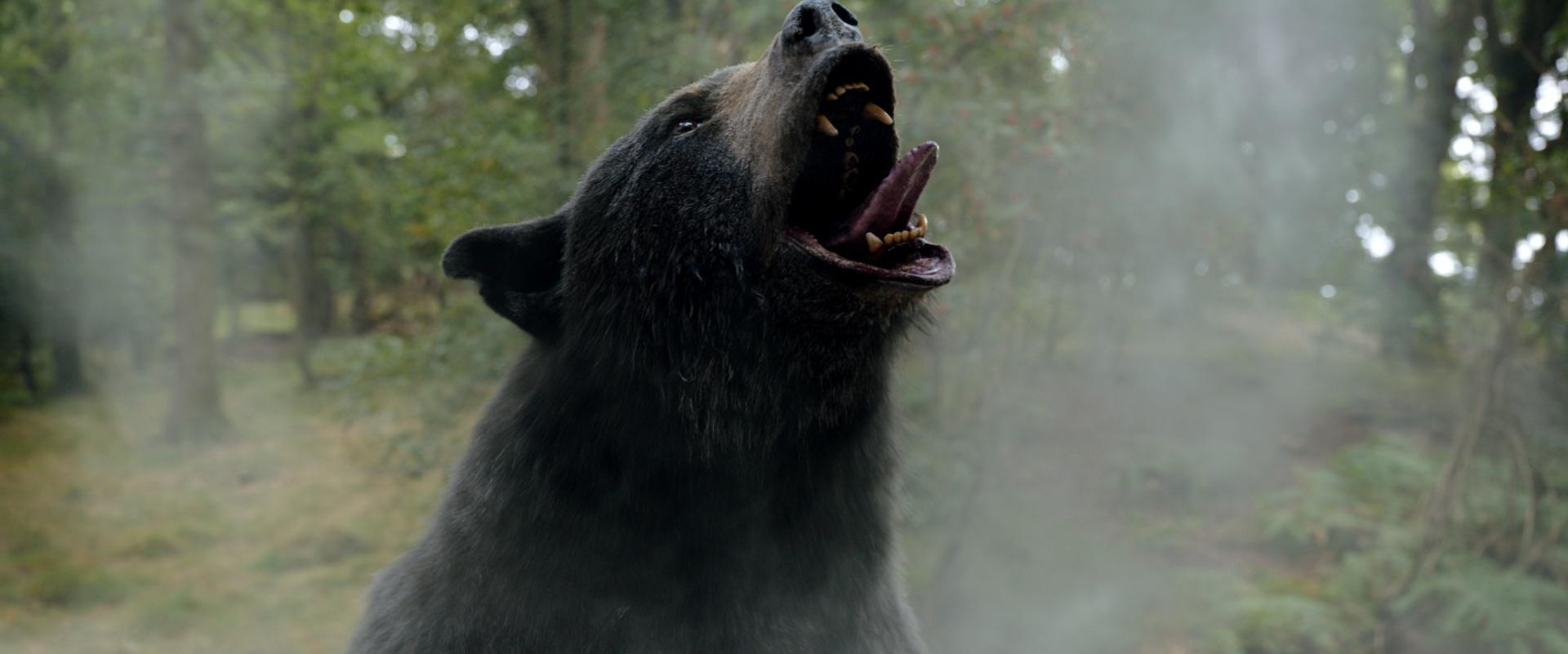 The title<em> Cocaine Bear</em> says it all, and the film delivers on that promise in 95 minutes. (Universal Pictures)