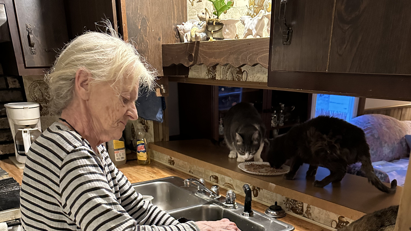 How the cats of Dixfield, Maine came into a fortune Money NPR