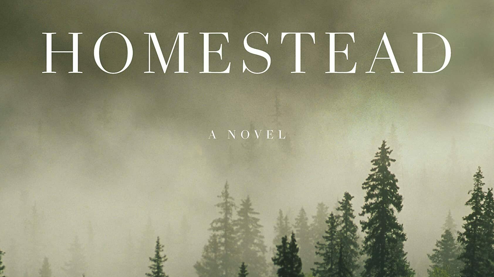 Cover of Homestead