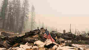 review on books One Uprooted Life At A Time, Climate Change Drives An American Migration