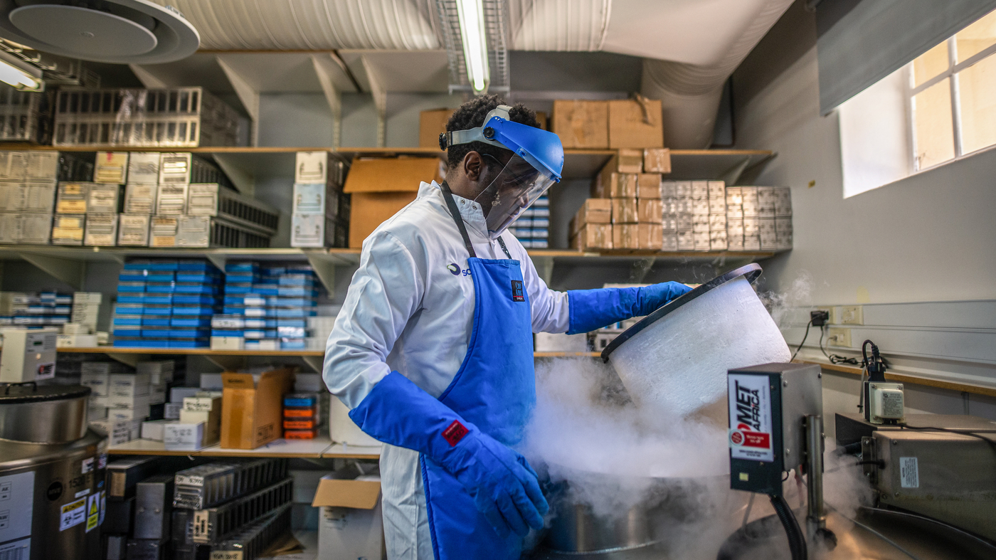 A promising mRNA vaccine-in-the-works could finally knock out TB : Goats and Soda : NPR - Vimarsana News