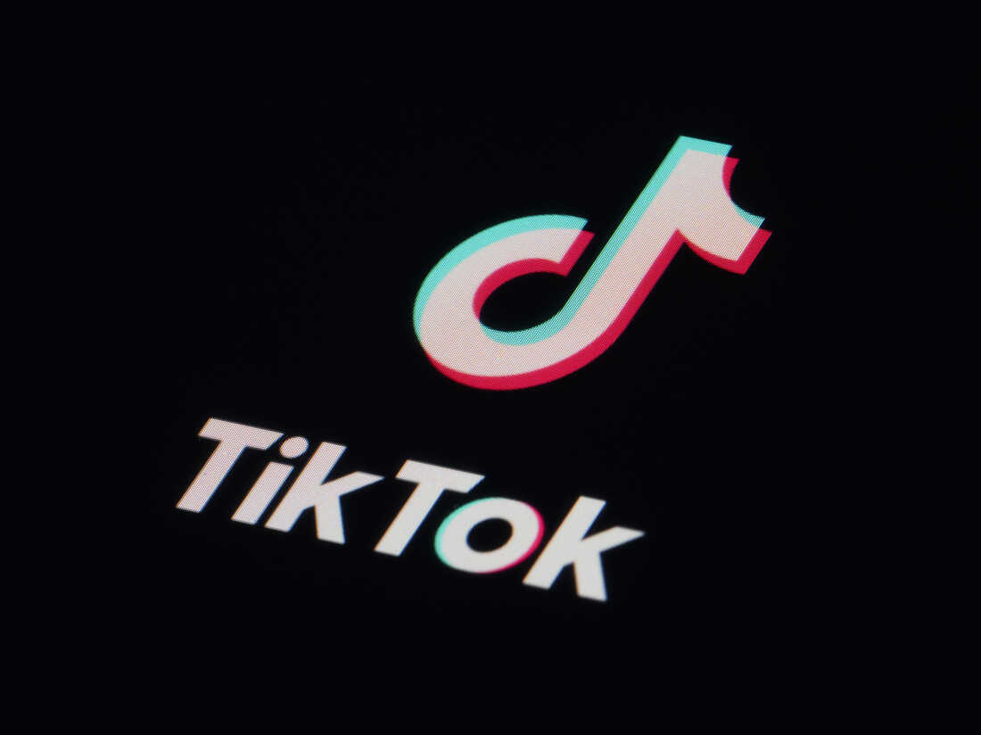 What Are Government Agencies Losing By Deleting TikTok?