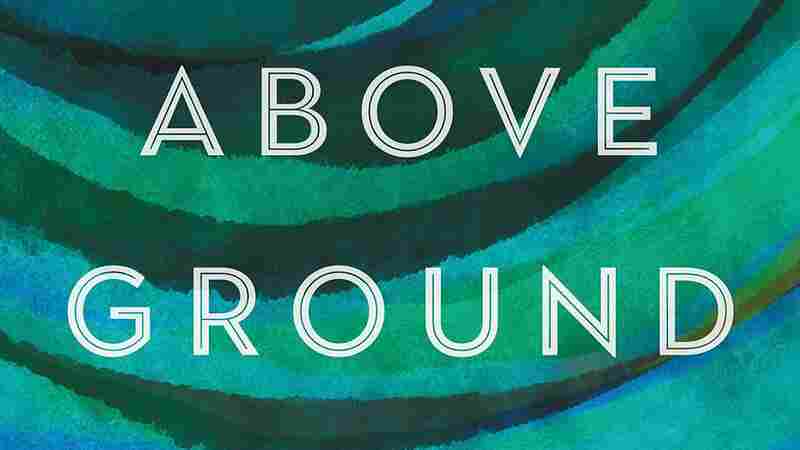 In 'Above Ground,' Clint Smith meditates on a changing world, personal and public