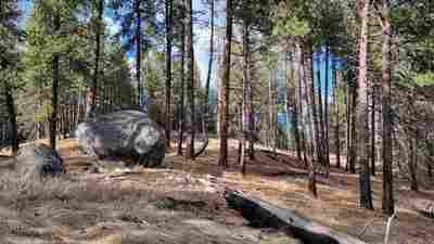 A trek into Spring in the mountains of eastern Washington 