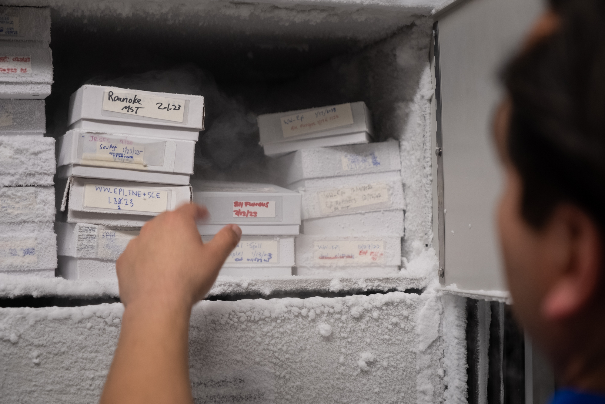 Tracking health threats, one sewage sample at a time 9 Gonzalez's team stores a small portion of their wastewater samples in the freezer. Many public health officials hope that the attention and funding for COVID surveillance ultimately extends to other pathogens too, like tracking RSV or norovirus infections.