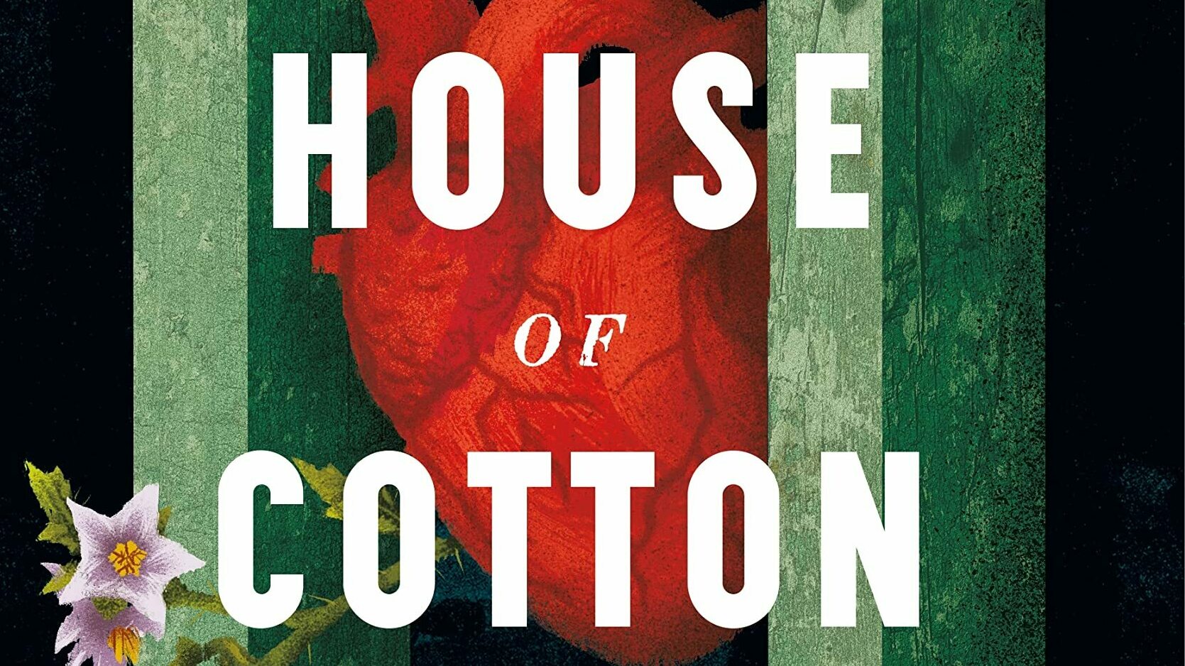 Cover of House of Cotton