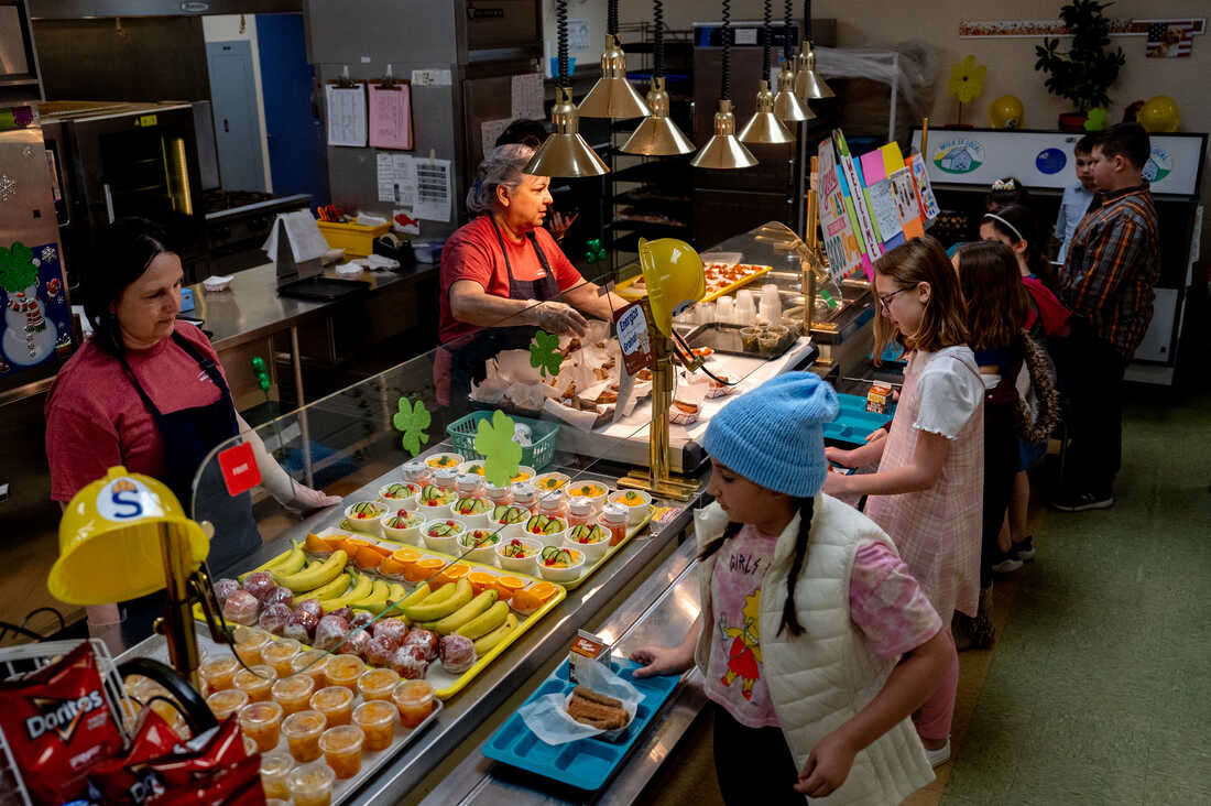 Families Struggle as Pandemic Program Offering Free School Meals