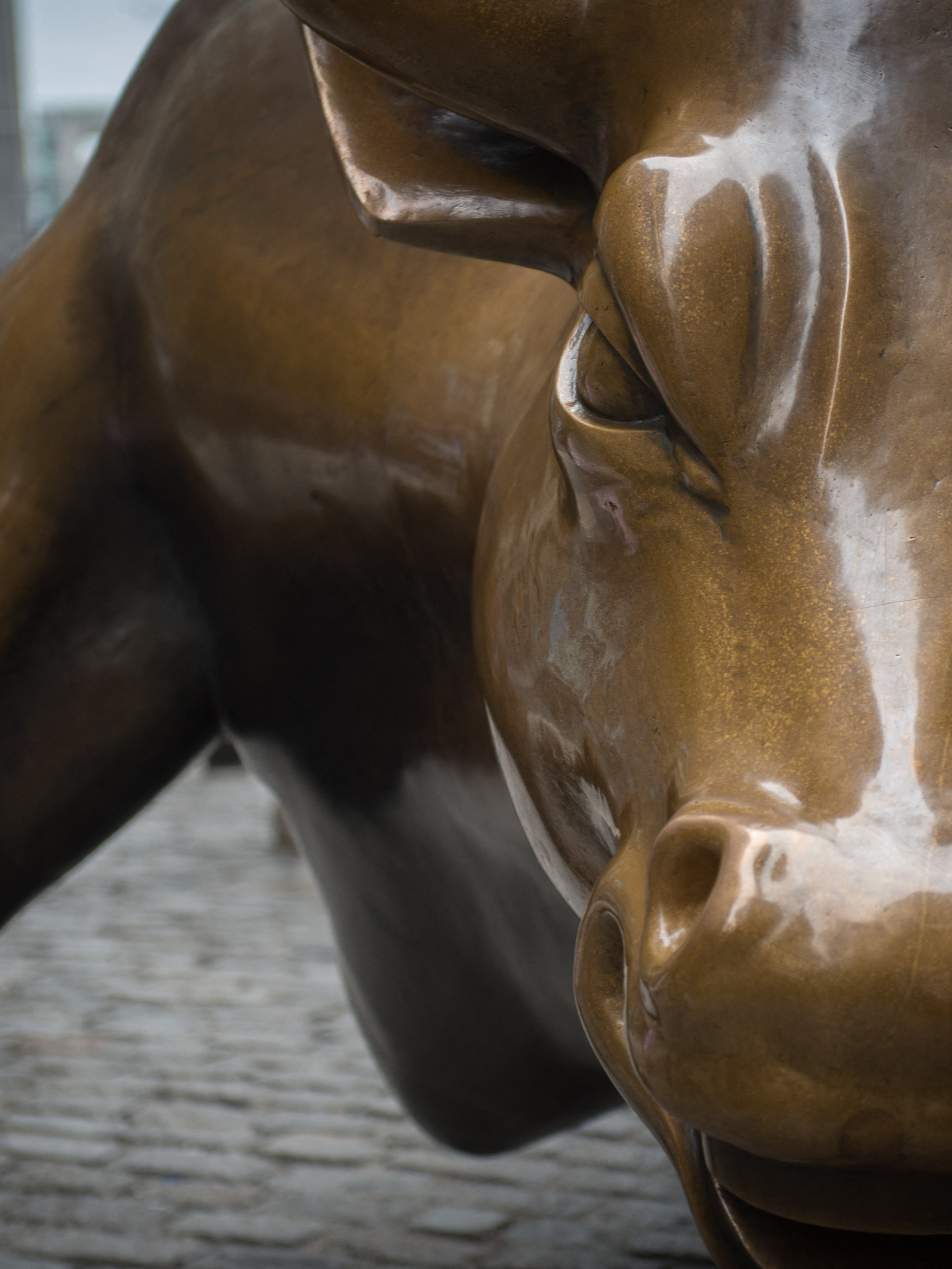 The Wall Street Bull sculpture is seen in the Financial District on December 8, 2016 in New York. (AFP via Getty Images)