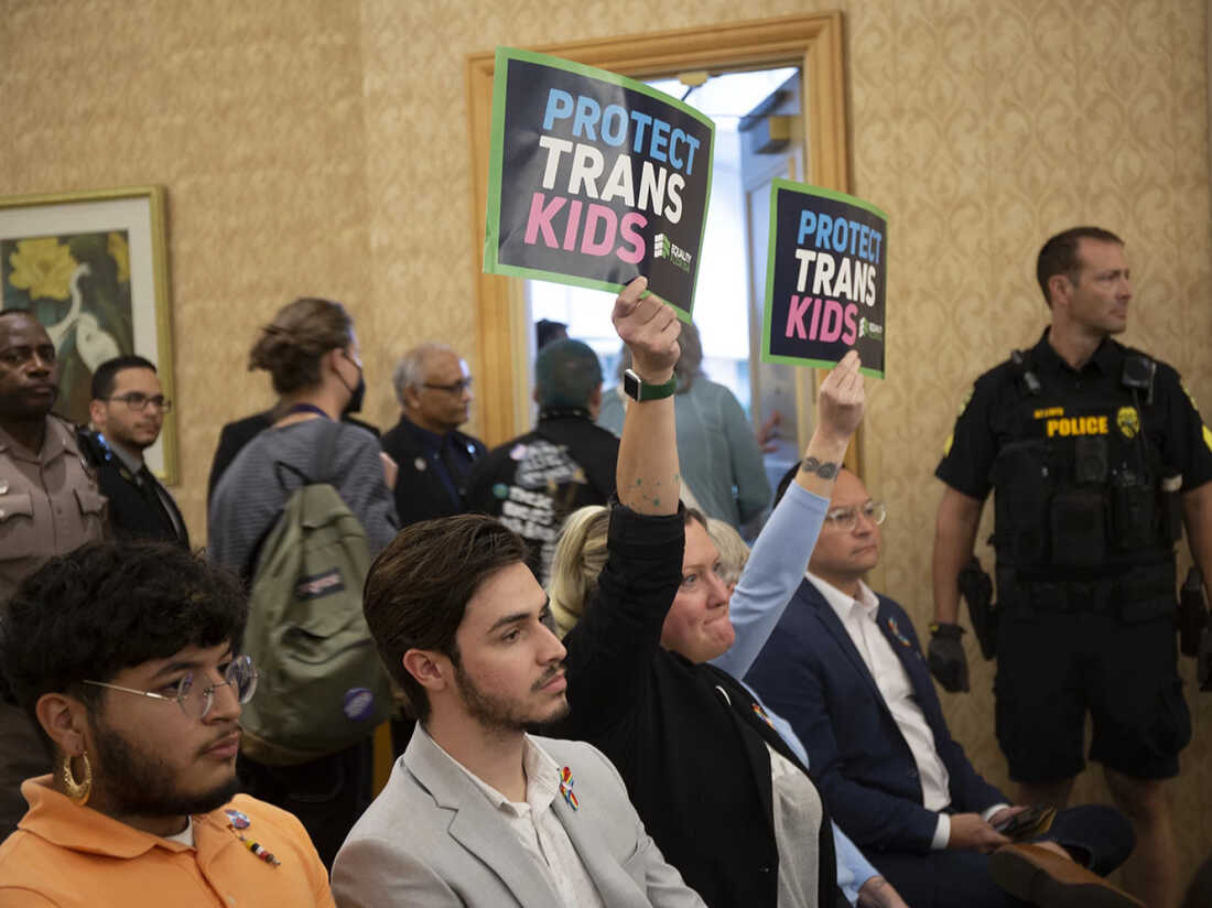 Trans youth are leaving Florida for states that feel safer : Shots