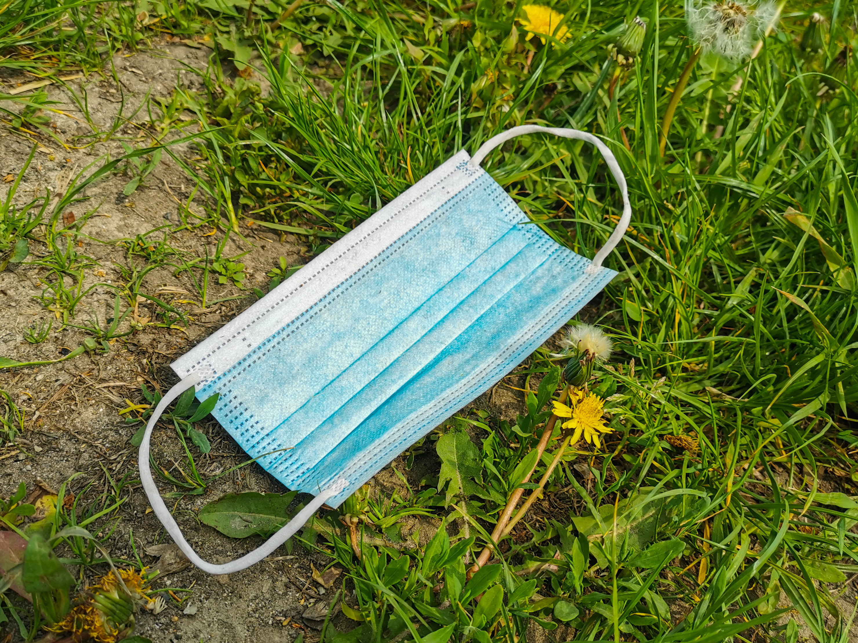 A face mask languishes in the grass in Krakow, Poland. With the state of emergency over, some people are relishing freedom from masks while others believe masking up is still a wise preventive measure. (NurPhoto via Getty Images)
