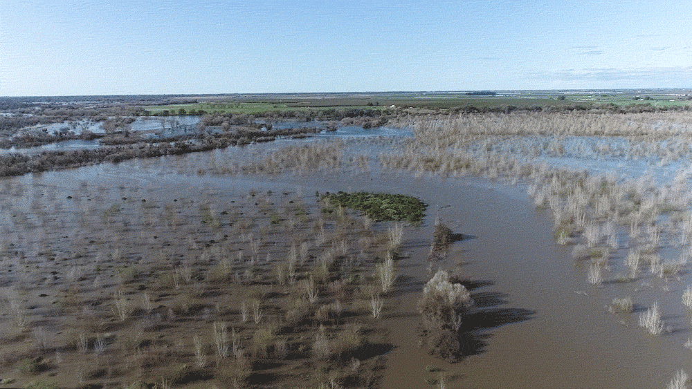 After years of restoration, the Dos Rios Ranch Preserve filled with water this spring.