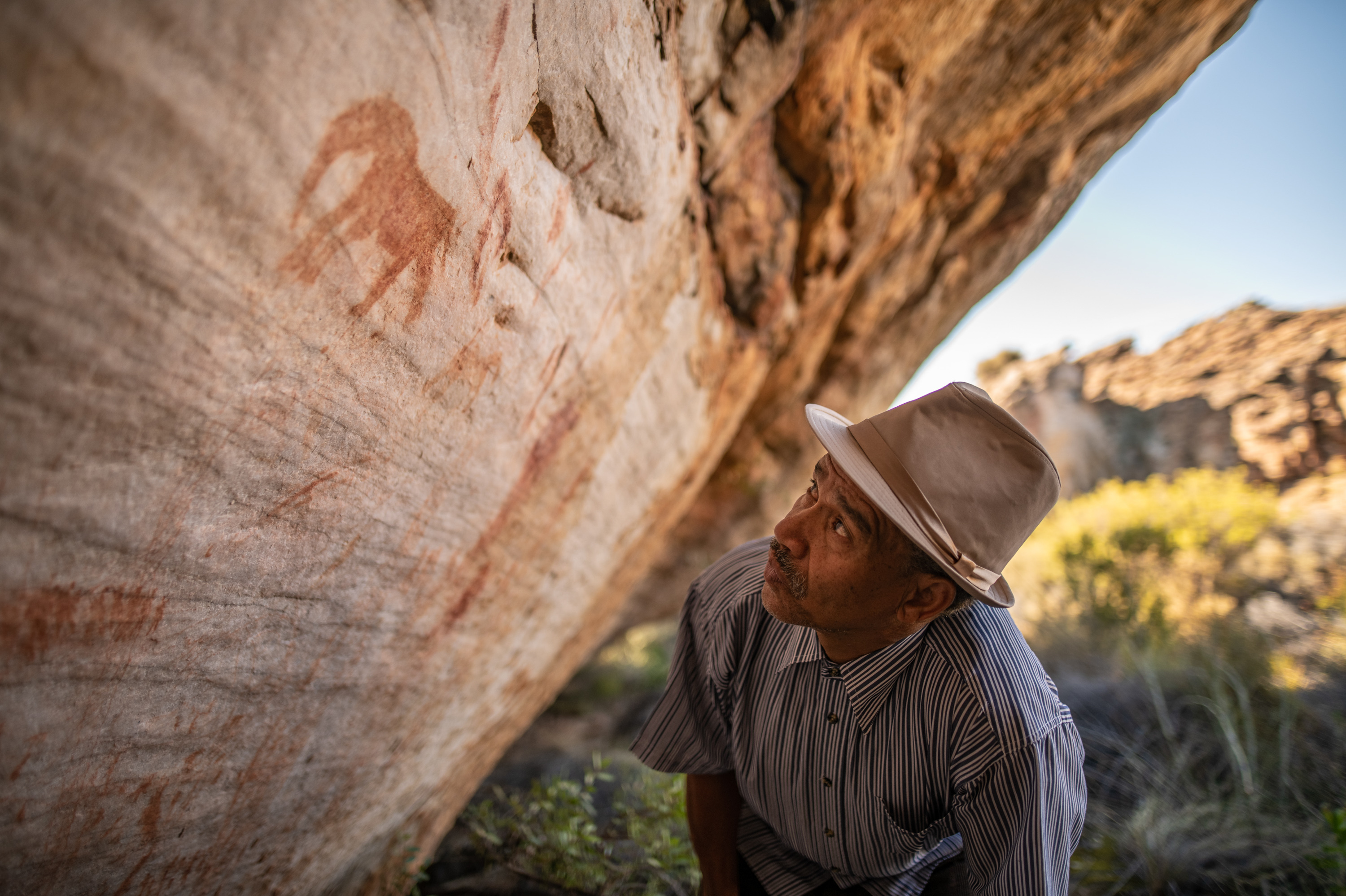 Trendy rooibos tea finally brings revenues to Indigenous South African farmers 13 Barend Salomo, 64, a rooibos farmer and Khoisan rights activist, looks at an ancient piece of Khoisan rock art in South Africa's rooibos-rich Cederberg Mountains. This land was once all the domain of his ancestors. Today most Khoisan are landless, while white farmers control 93% of all land under rooibos cultivation.