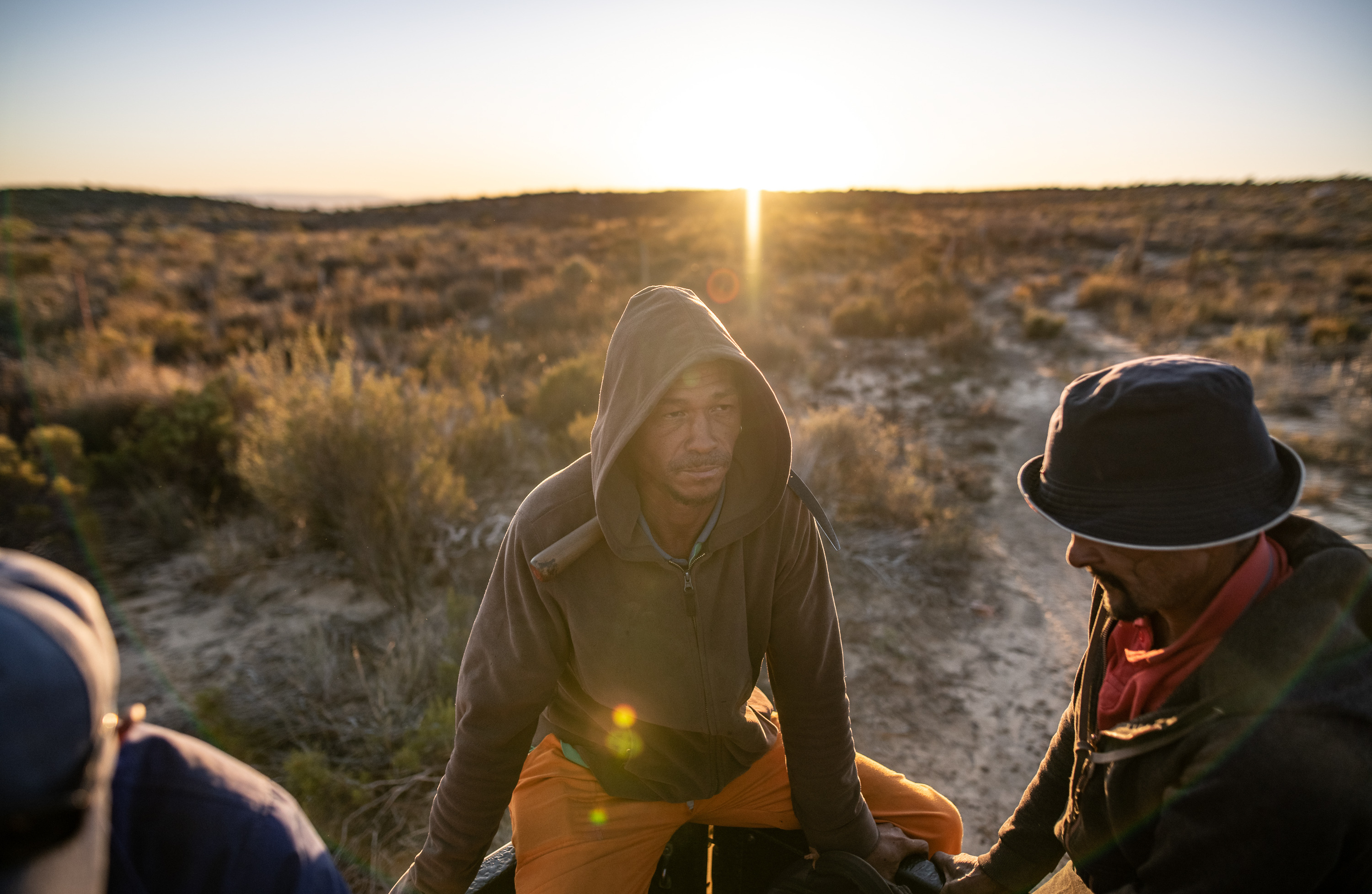 Trendy rooibos tea finally brings revenues to Indigenous South African farmers 5 Indigenous Khoisan rooibos farmers travel in the back of a pickup on their way to harvest their fields in South Africa's Cederberg Mountains.
