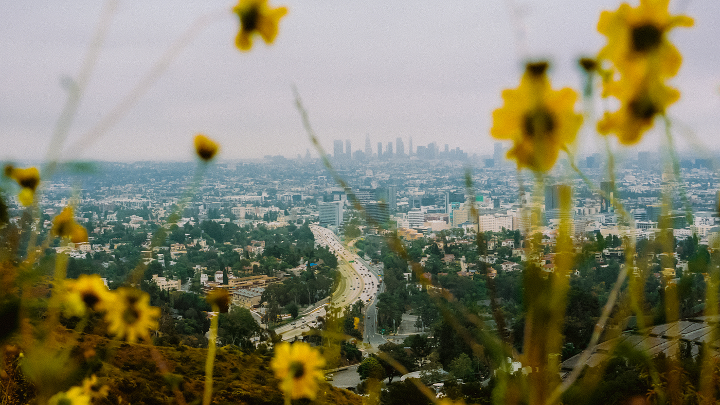 LA's top make-out spots hint at a city constantly evolving - Vimarsana News