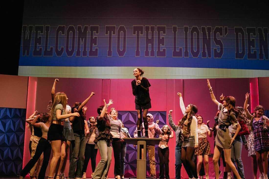 Story Theater Company Presents High School Musical JR