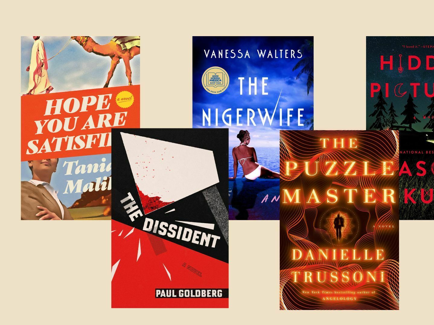 5 new mysteries and thrillers for the start of summer - Vimarsana News
